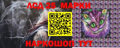 ПСИЛОЦИБИНОВЫЕ ГРИБЫ Вязники