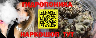 Альфа ПВП Вышний Волочёк
