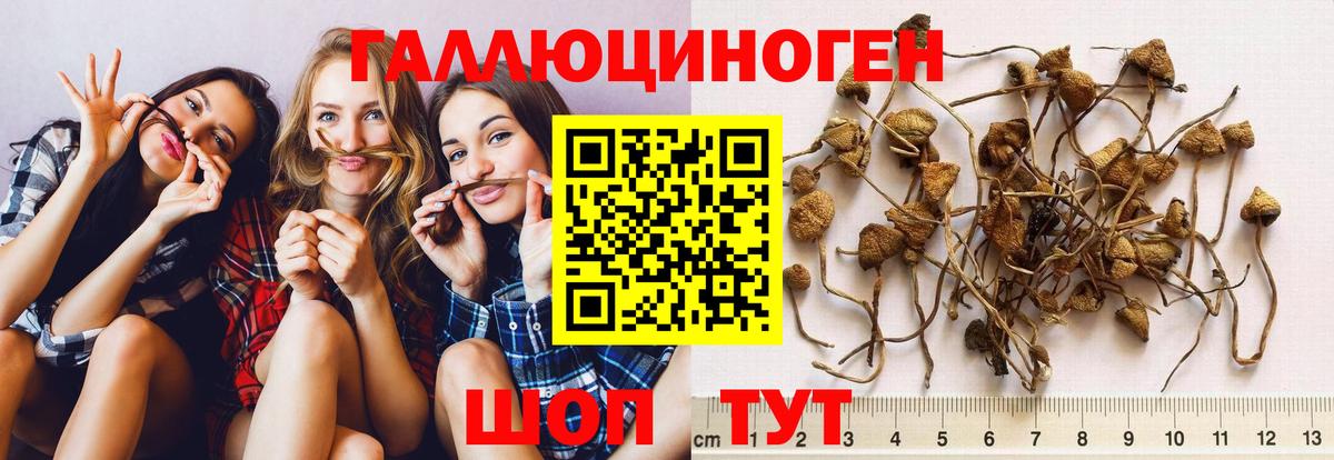 Белогорск  Галлюциногенные грибы GOLDEN TEACHER  Вход с VPN 